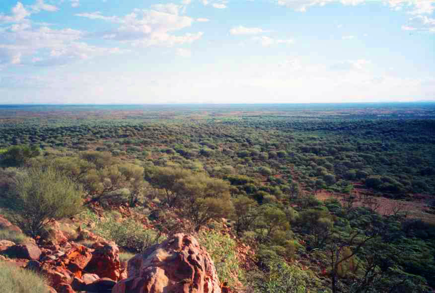 The Outback from Mount Connor