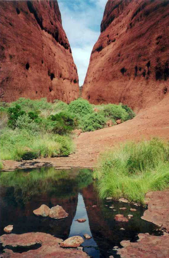 Kata Tjuta waterhole