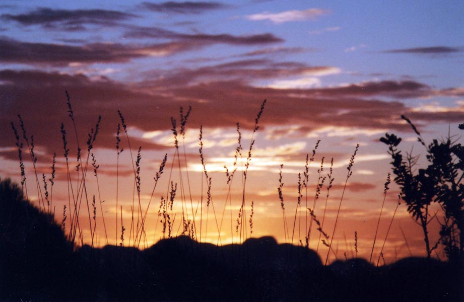 The Outback at Sunset