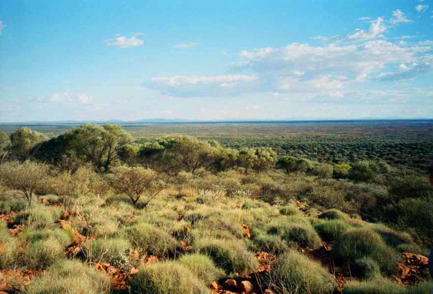 The Outback from Mount Connor