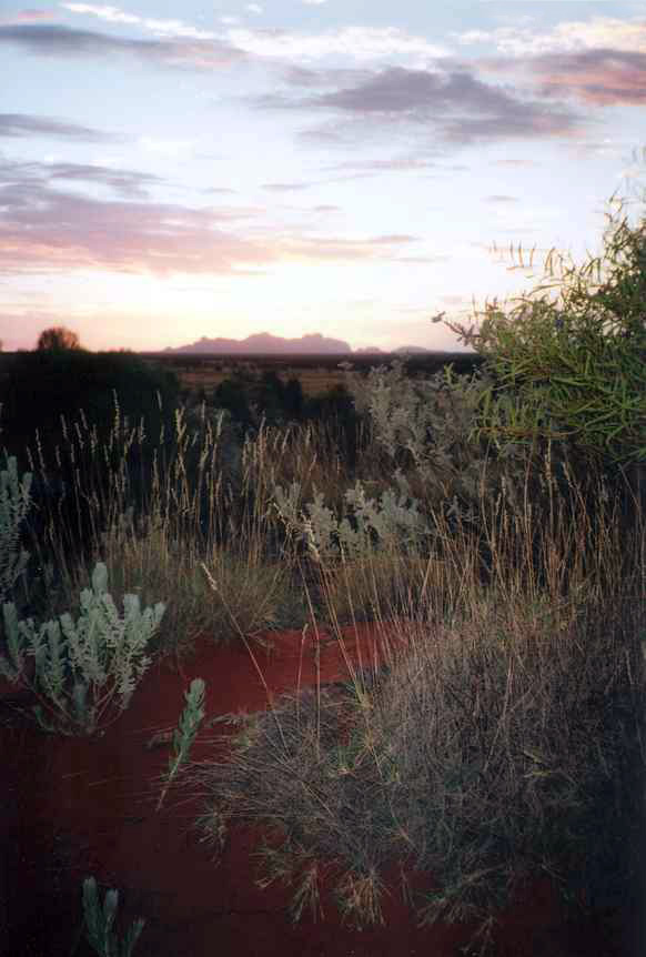 The Outback at Sundown
