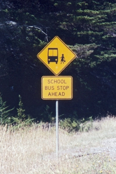 Beware schoolbuses