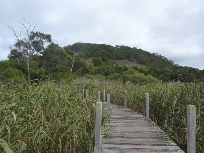 Tower Hill Game Reserve