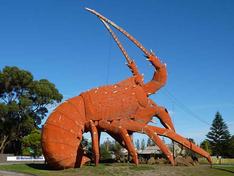 Giant Lobster, Kingston