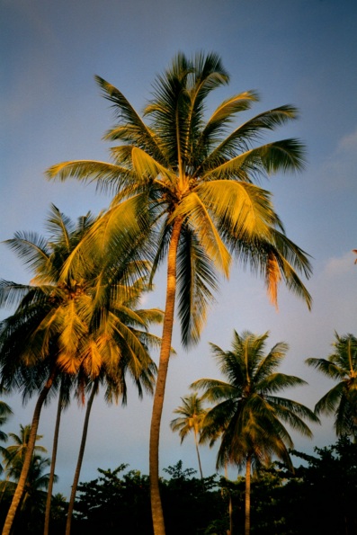 Pigeon Point, Tobago