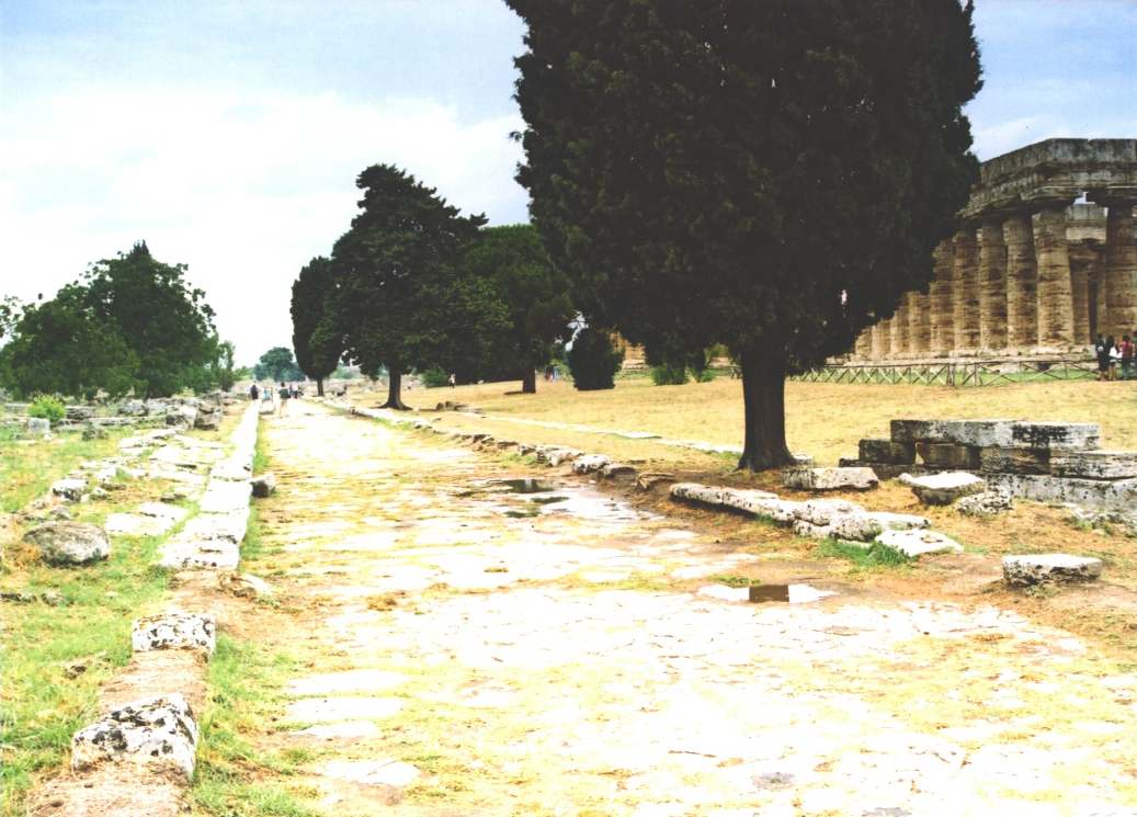 The Sacred Road, Paestum