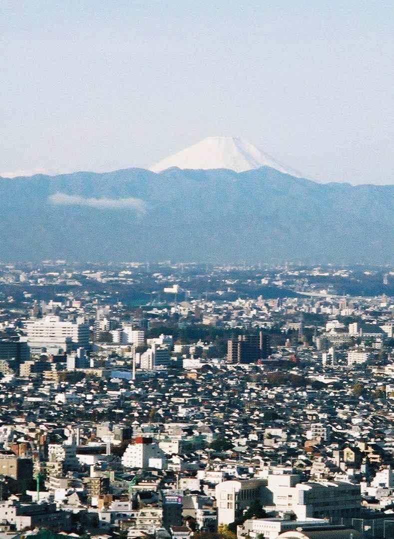 Mt Fuji from Tokyo