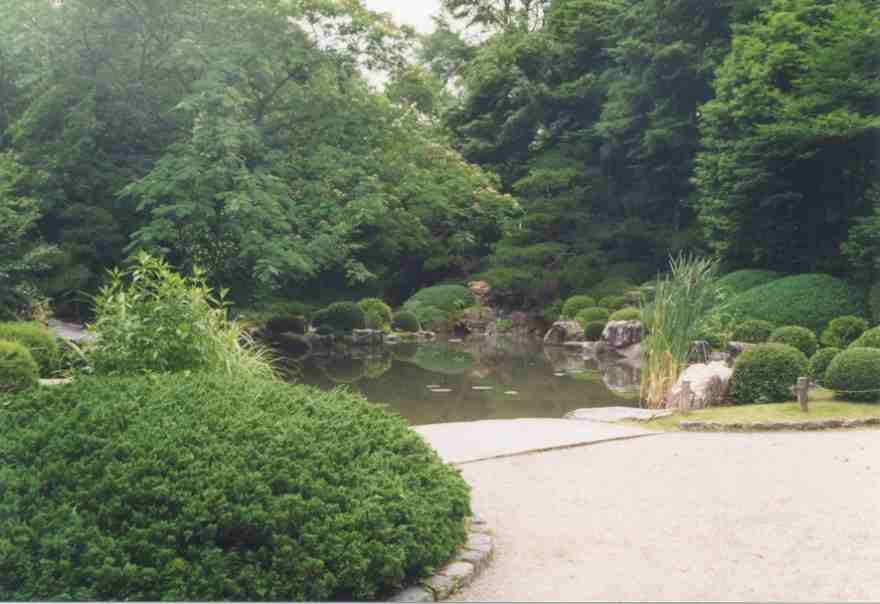 Scenes of the garden