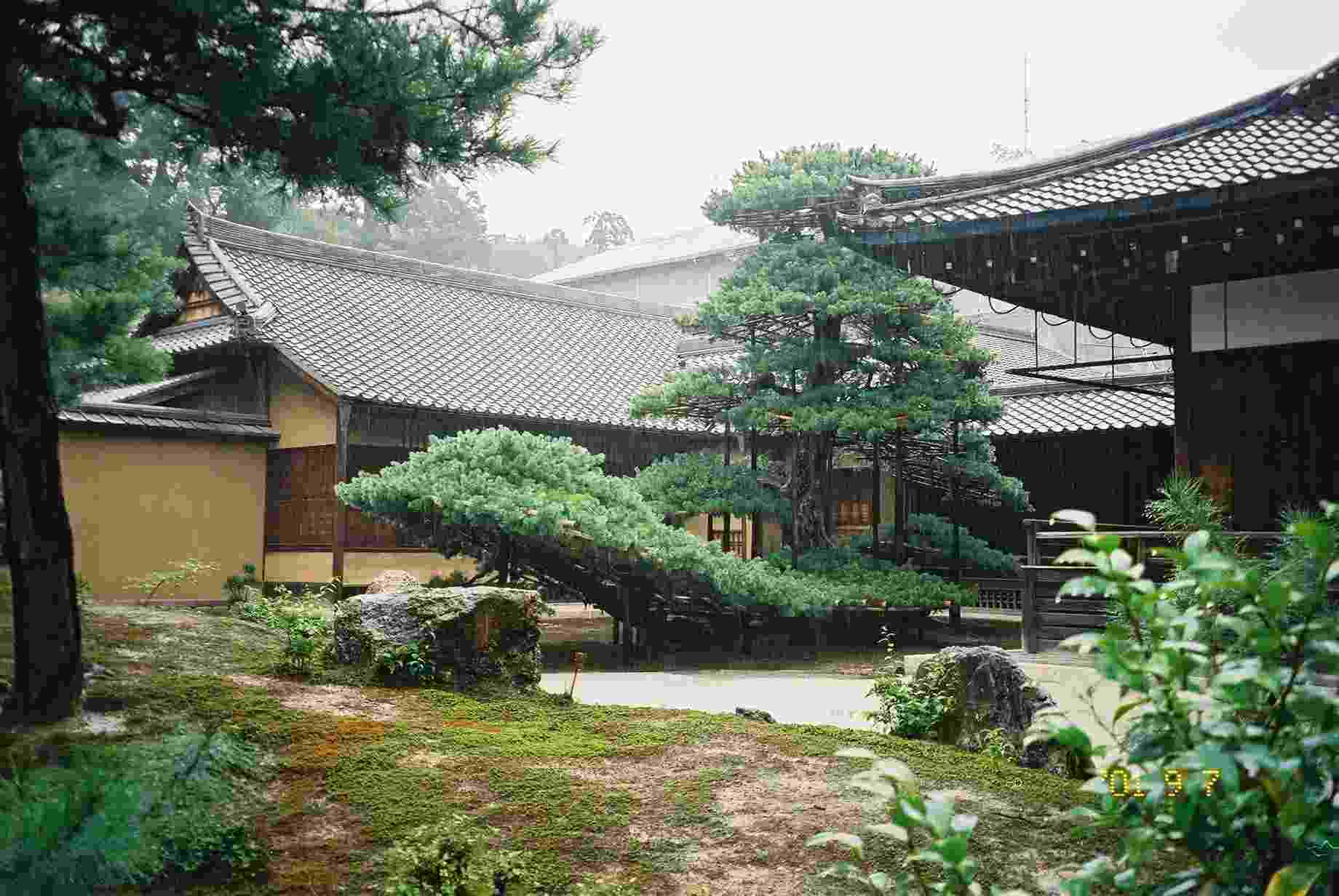 The Golden Temple Garden