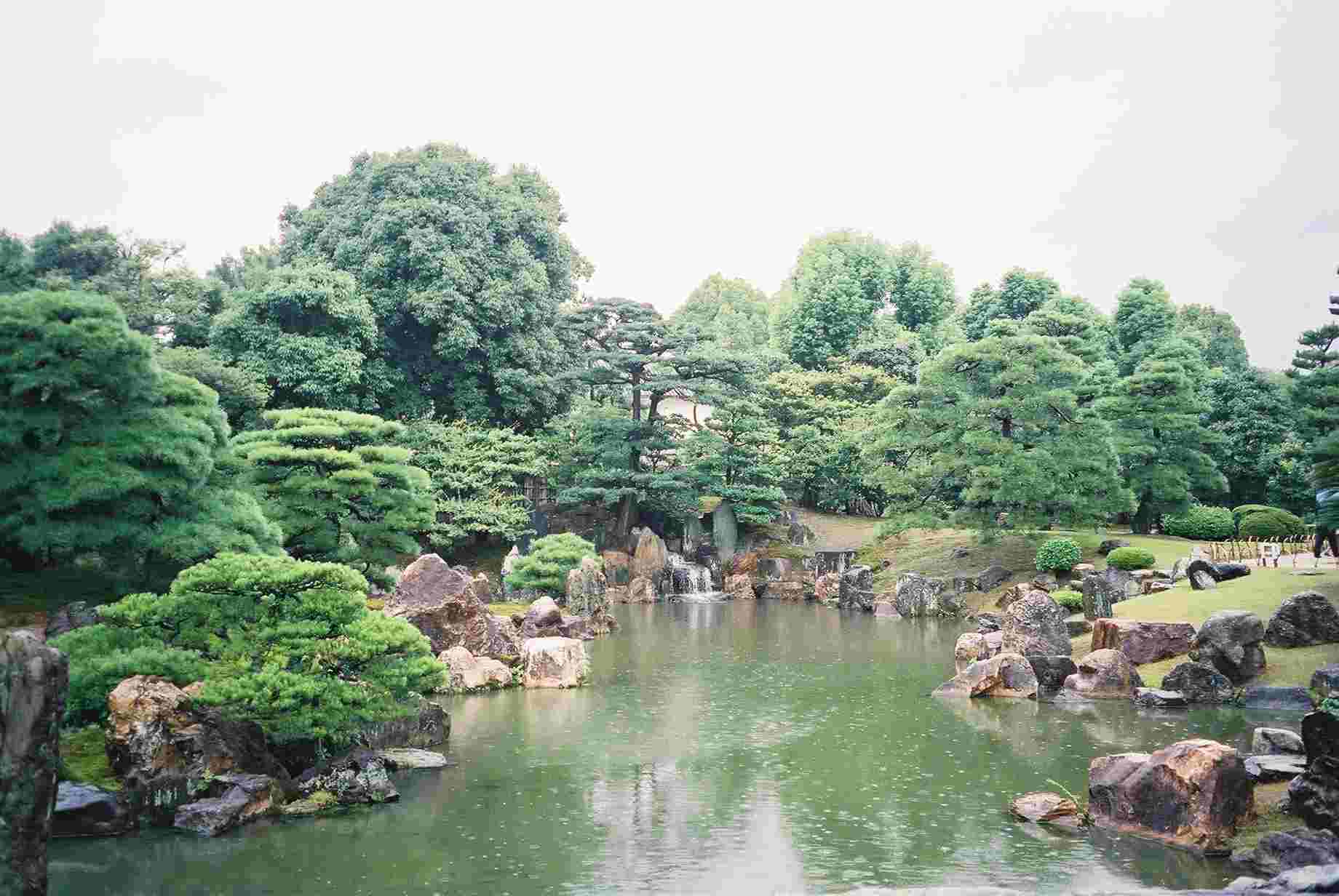 The garden in the rain