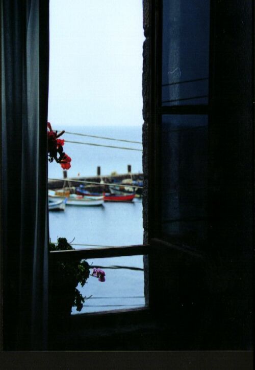 View from the window