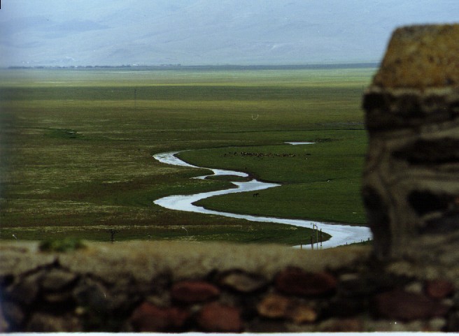 Long and curvy river