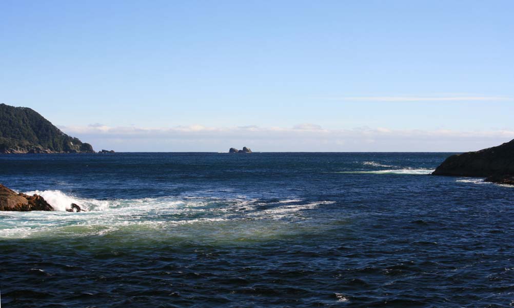 The Tasman Sea from Doubtful Sound
