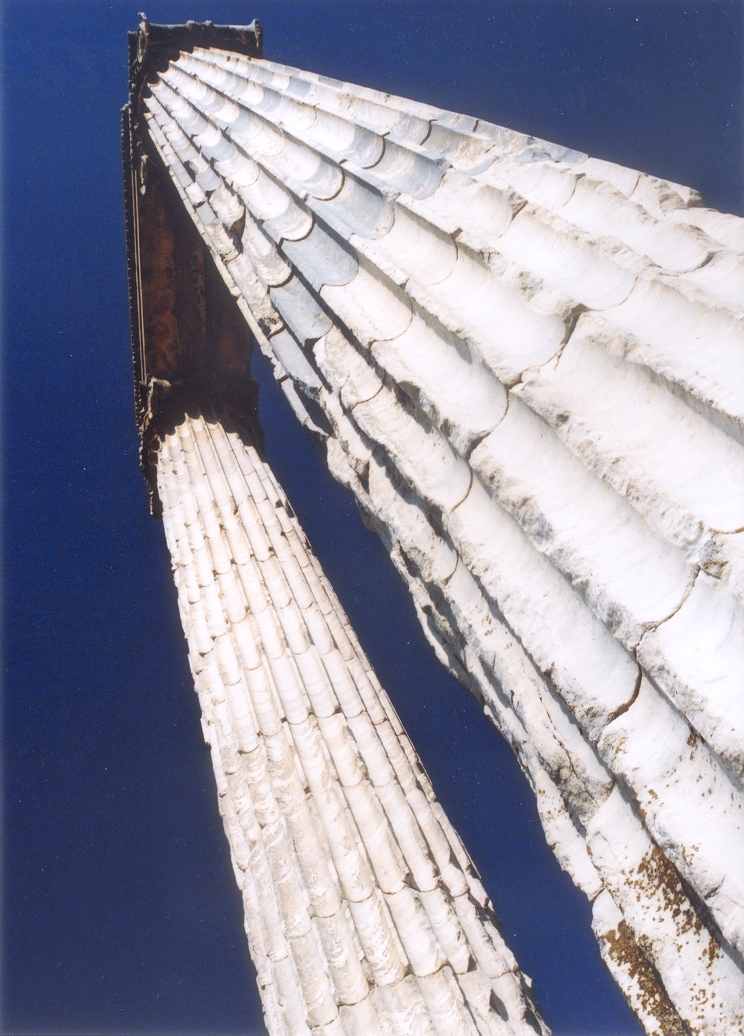 didyma columns