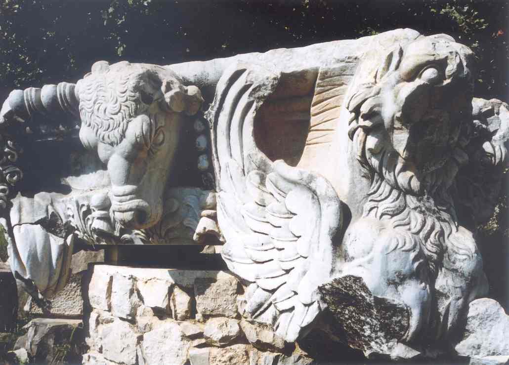 didyma