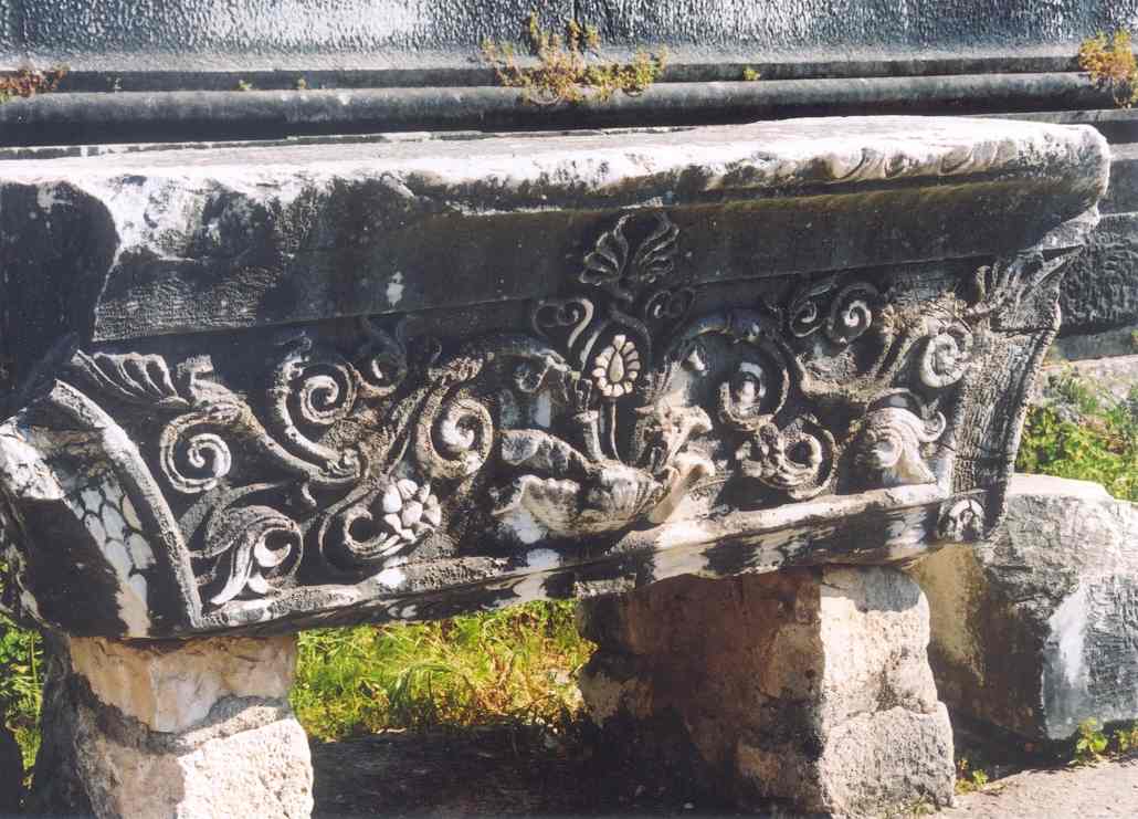 didyma