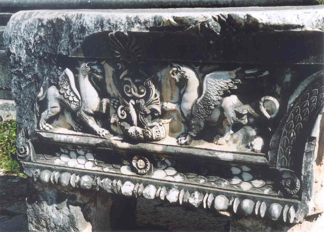 didyma