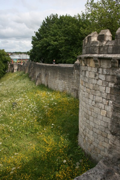 The Walls