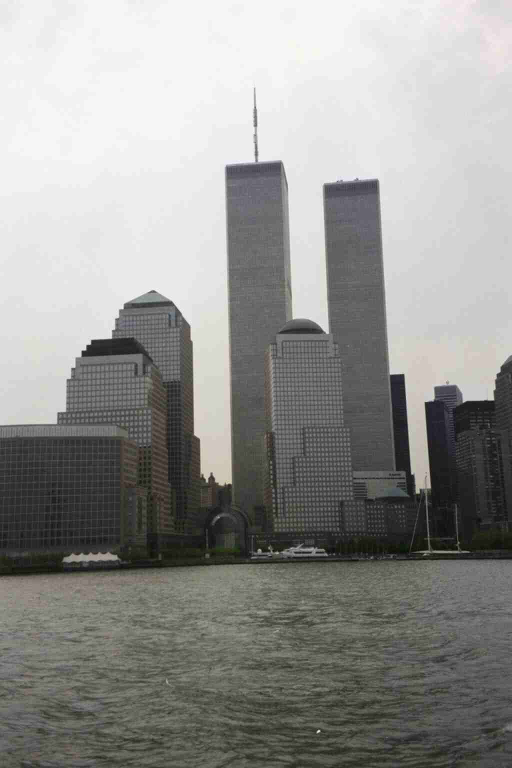 Dwarfing the Winter Garden by the river