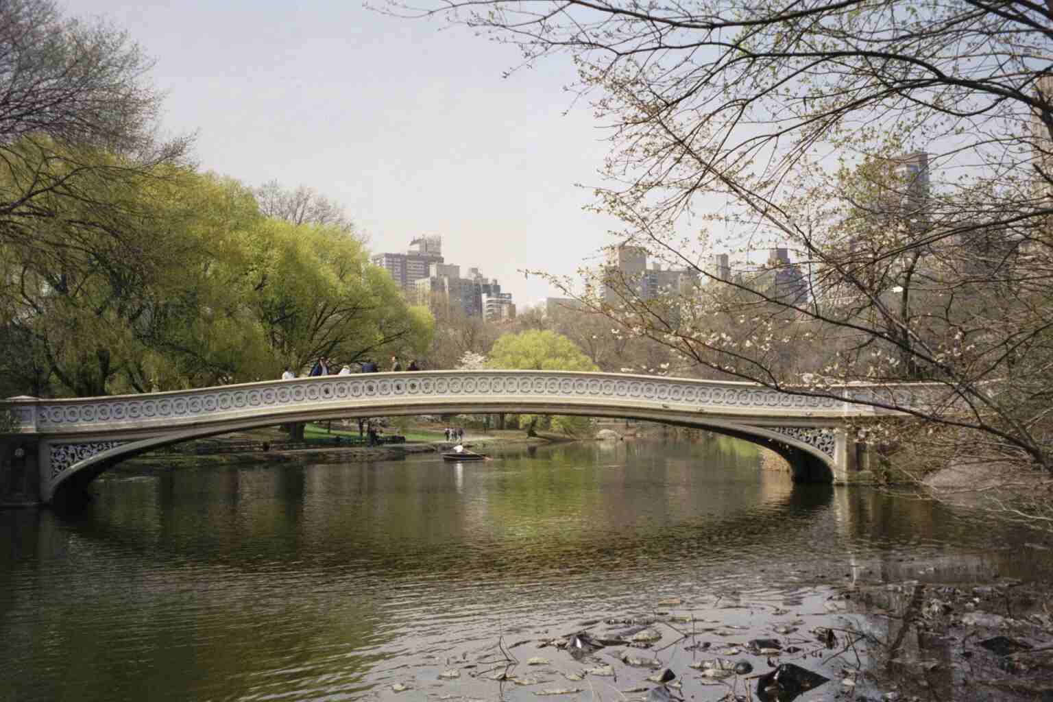 The Bridge from the Lake