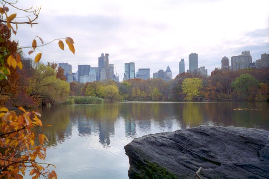 Central park looking South
