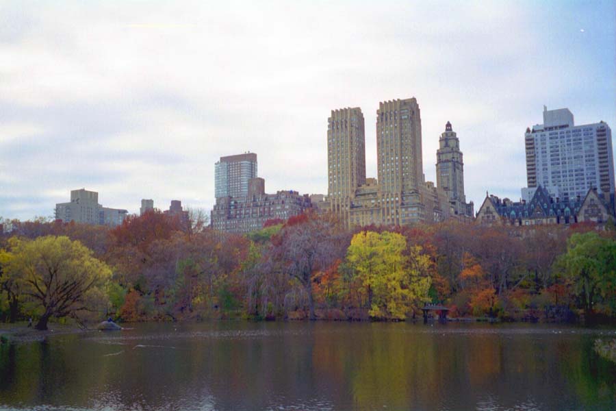 The Lake in Central Park