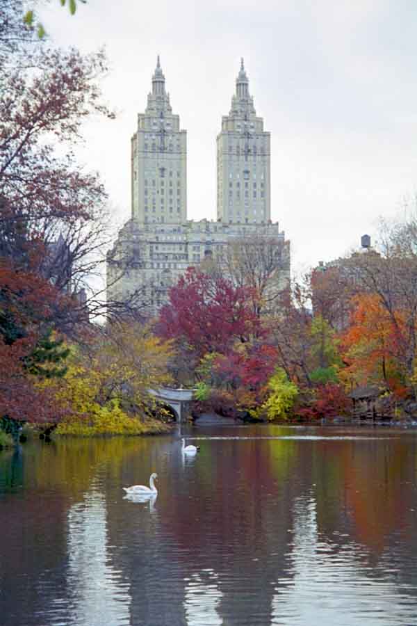Central park looking West