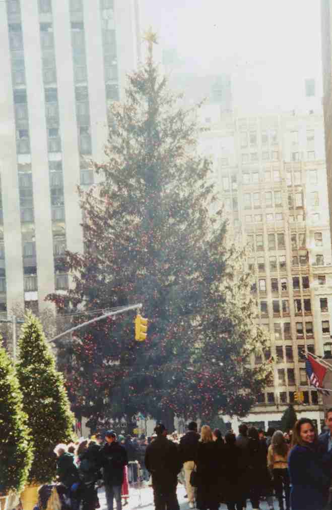 Christmas Tree at the Rockafeller Center