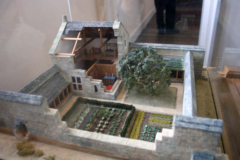 Model of a cell